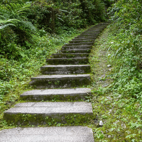 soutien scolaire chemin escalier